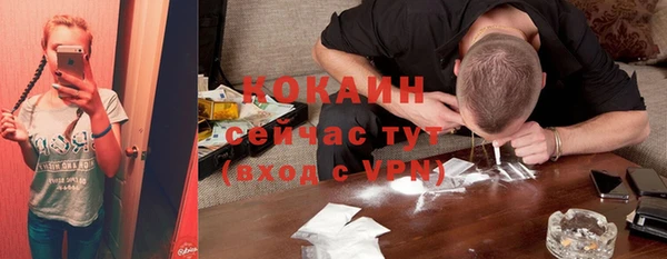 mdpv Богородицк