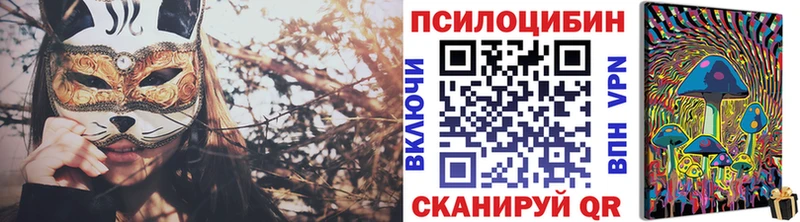 Галлюциногенные грибы Psilocybine cubensis  Тюмень 
